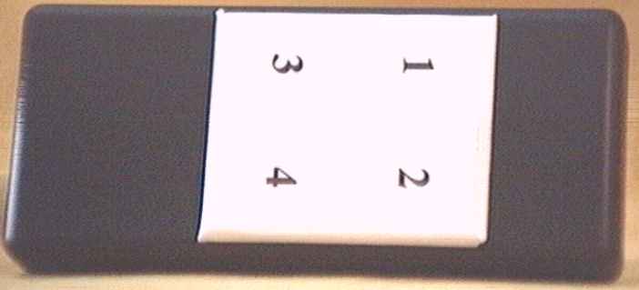 telecommande.jpg (12041 octets)