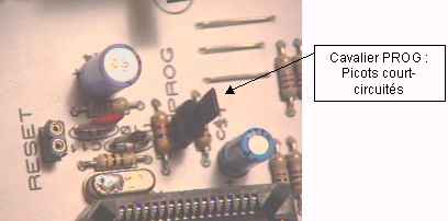 progpcbug1.jpg (51880 octets)