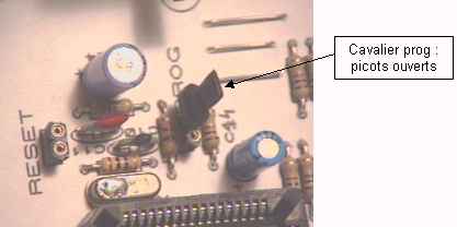progpcbug7.jpg (53015 octets)
